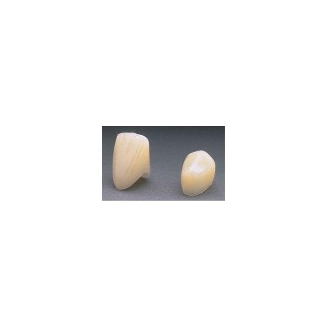 3M Polycarbonate Crown P-32 - Pack5