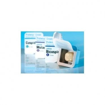 3M Protemp Crown Cuspid Small (50618) - Pack5