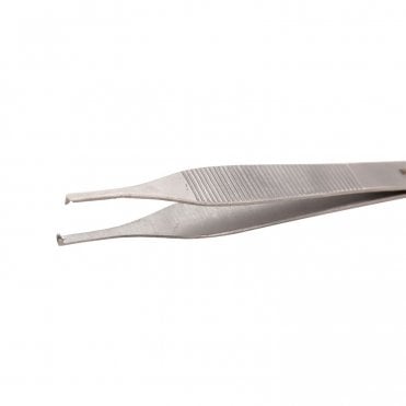 AM Dental Dissecting Forceps - Each