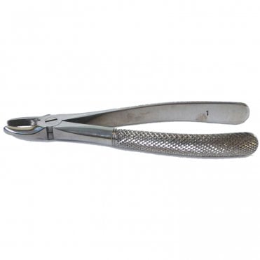 AM Dental Forceps No.1 - Each