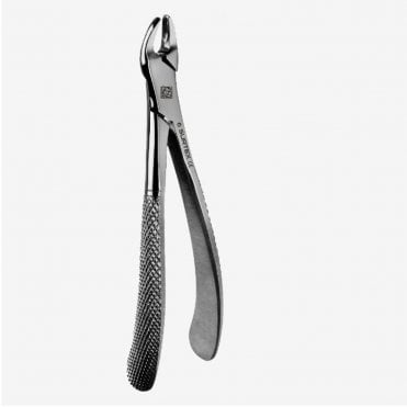 AM Dental Forceps No.159 - Each
