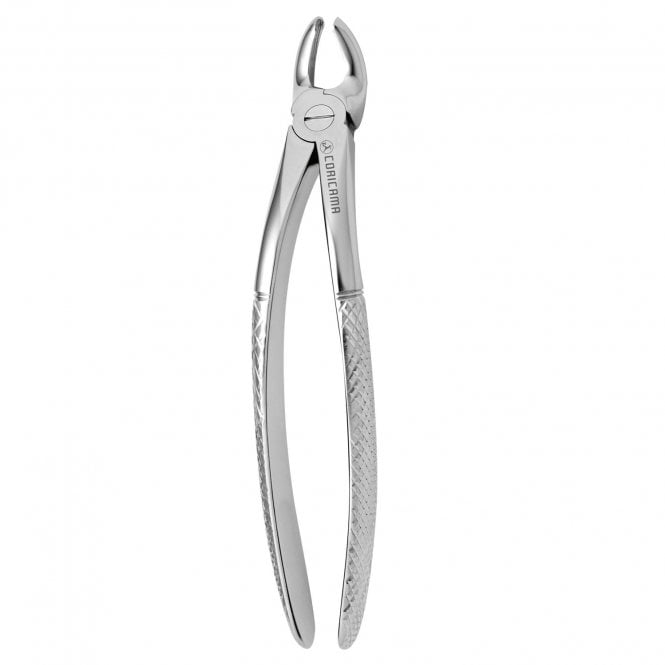 AM Dental Forceps No.19 - Each