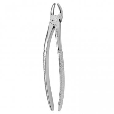 AM Dental Forceps No.19 - Each