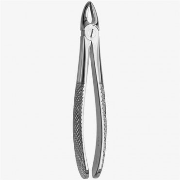 AM Dental Forceps No.29 - Each