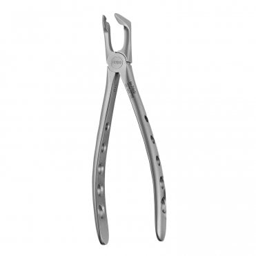 AM Dental Forceps No.79 - Each