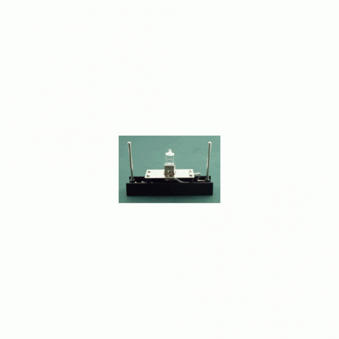 Bulb - Daray Bilite (DRK1024) - Each
