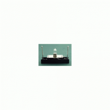 Bulb - Daray Bilite (DRK1024) - Each