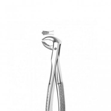 Carl Martin Forceps Lower Left Molars No.24 - Each
