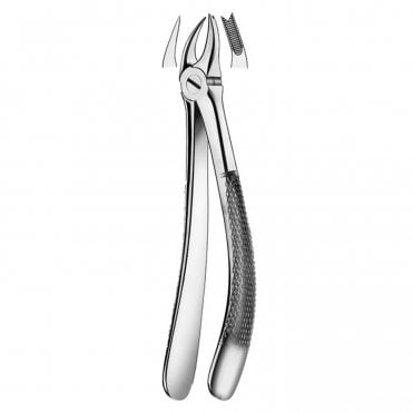 Carl Martin Forceps No.89 Upper Right Molars -Damaged Crowns