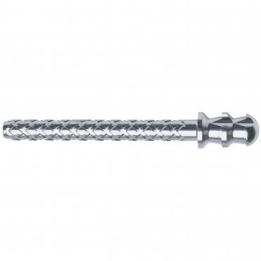 Coltene ParaPost XH Titanium Alloy Posts P-88-6 Black - 10