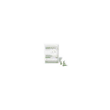 Dentsply Ceram.X Duo Compules D2 16x0.25g (60701302A) -Box16