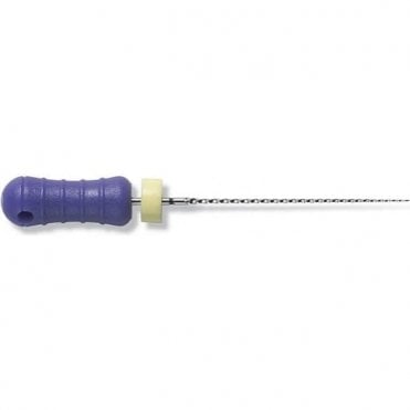 Dentsply Maillefer C+ File 21mm Assorted (A012X02190004)
