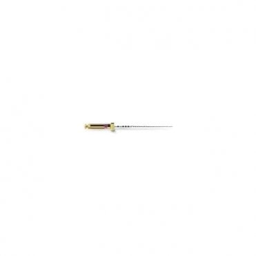 Dentsply PathFile 25mm 013 Purple (A001522501303) - Pack6