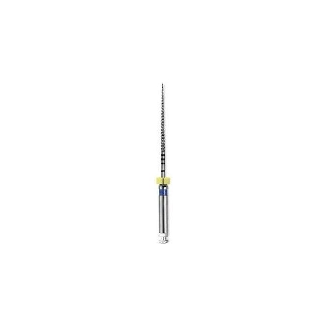 Dentsply ProFile .04 L31 Size 40 A011N23104003 - Pack6
