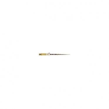 Dentsply Sterile ProTaper Gold File L21mm S2 - Pack6