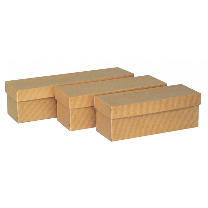 Orthodontic Model Boxes 8