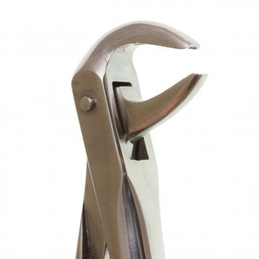 Perfection Plus Eco+ Forcep No 79 (009/0015) - Each