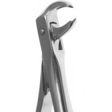 Perfection Plus Eco+ Forceps No.161 (0090161) - Each