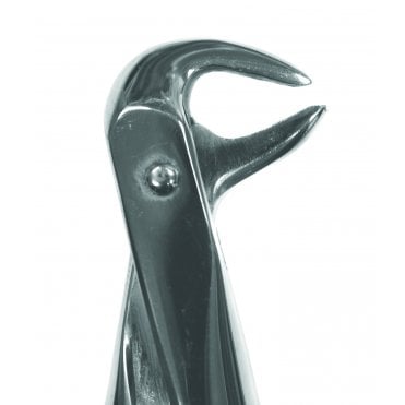 Perfection Plus Eco+ Forceps No.162 (0090162) - Each