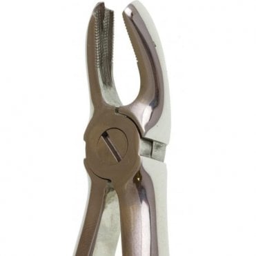 Perfection Plus Eco+ Forceps No.17 (0090005) - Each