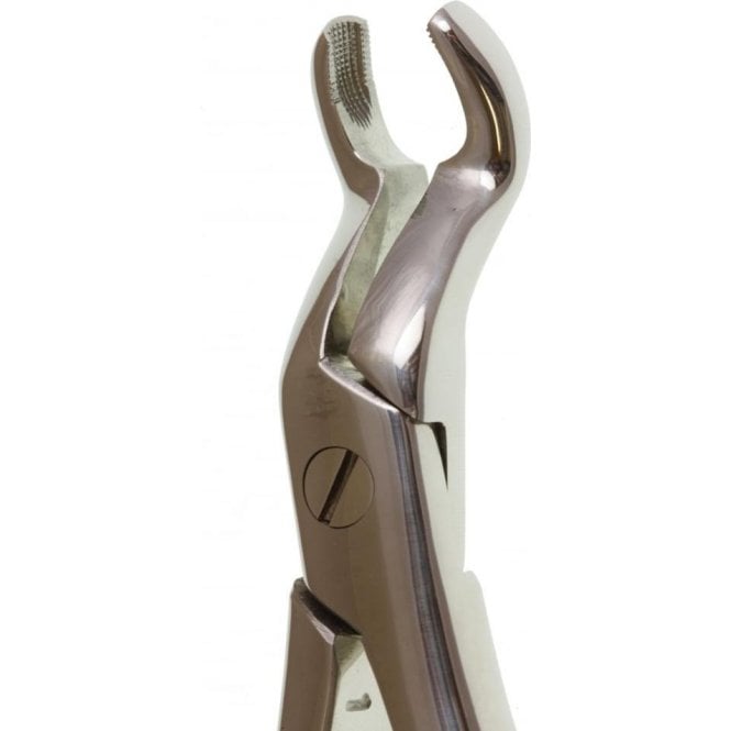 Perfection Plus Eco+ Forceps No.67 (0090010) - Each