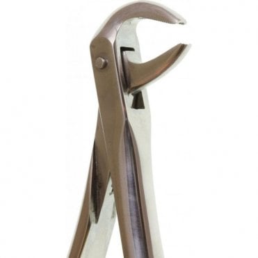 Perfection Plus Eco+ Forceps No.74 (0090011) - Each