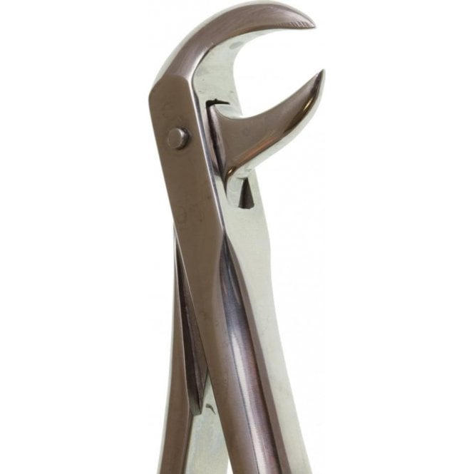 Perfection Plus Eco+ Forceps No.86 (0090016) - Each