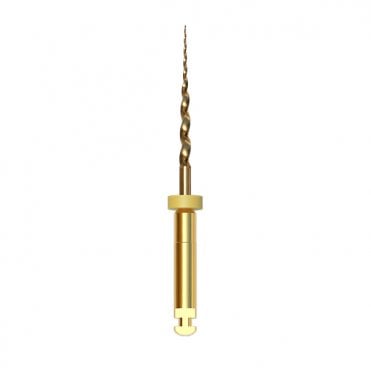 Perfection Plus EndoPLUS Taper Gold Assorted 25mm (004/6131)