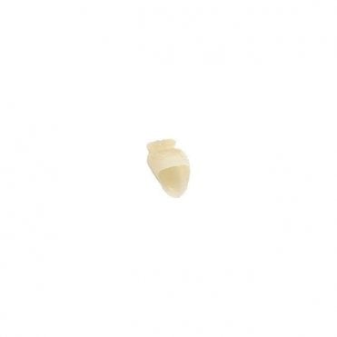 Perfection Plus Super Temporary Crowns No.15 (0033015) Pack5