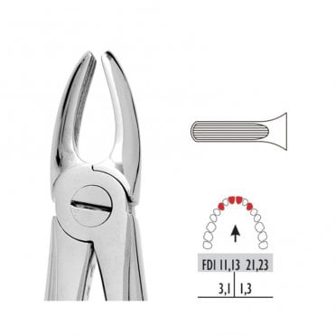 UnoDent Forceps - Autoclavable 1 Upper Centrals & Canines