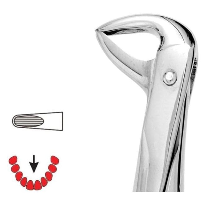 UnoDent Forceps No.123 (DFO155) - Each