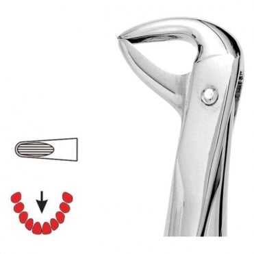UnoDent Forceps No.123 (DFO155) - Each