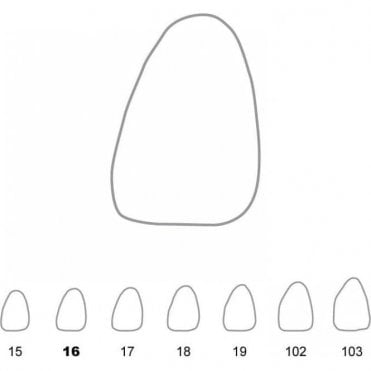 UnoDent Temporary Crowns Upper Central Incisors Left 16