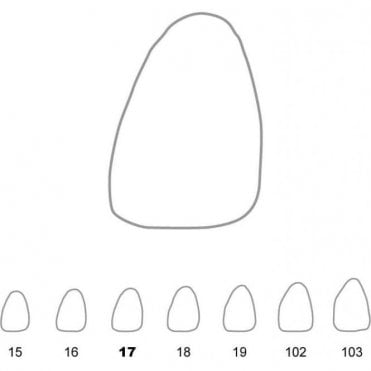 UnoDent Temporary Crowns Upper Central Incisors Left 17