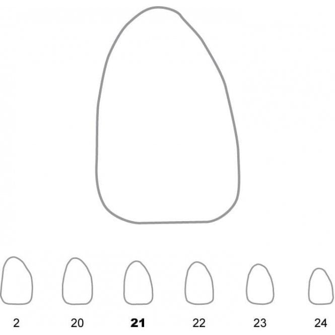 UnoDent Temporary Crowns Upper Lateral Incisors Right 21